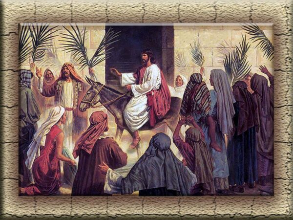 Palm Sunday, Hope arrives in Jerusalem, our savior is here!