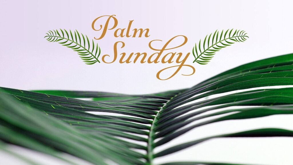 Palm Sunday: A walk through Holy Week