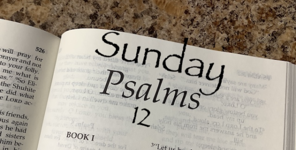 Sunday Psalms 12 - who can you trust?