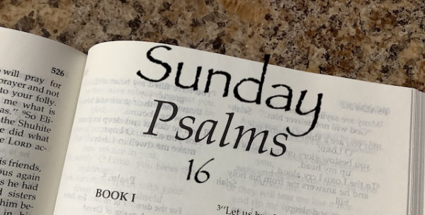 Psalm 16: The Delight of an Everlasting Life with Jesus