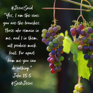 John 15:5 “Yes, I am the vine; you are the branches. Those who remain in me, and I in them, will produce much fruit. For apart from me you can do nothing."