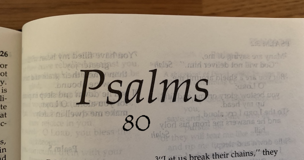 Psalm 80: Almighty God is Our Shepherd, Turn Back to Him for Salvation