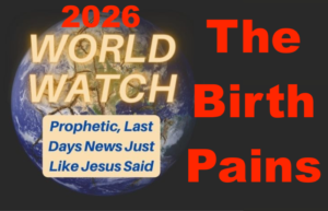 World Watch 2026: the Birth Pains Increase